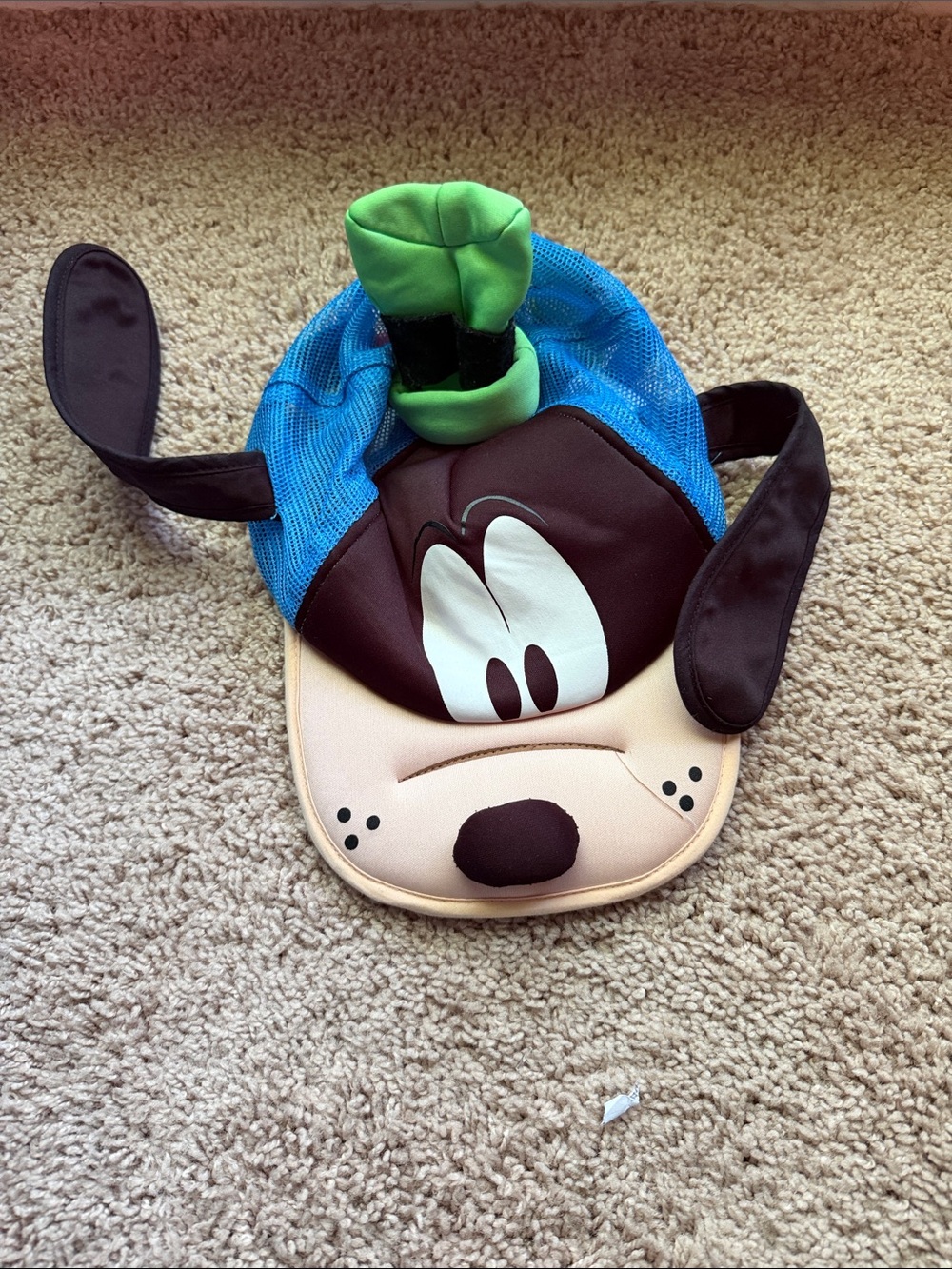 Kids Goofy Hat